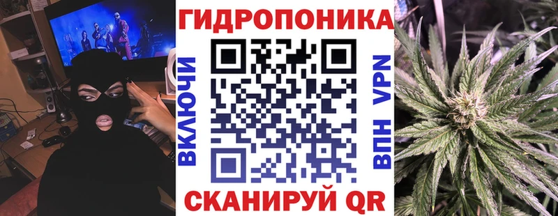 Бошки Шишки Bruce Banner  Энем 